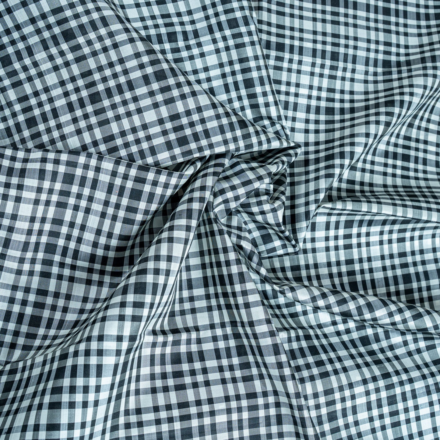 Monochrome Handloom Saree: Black Check Pallu & White Striped Body