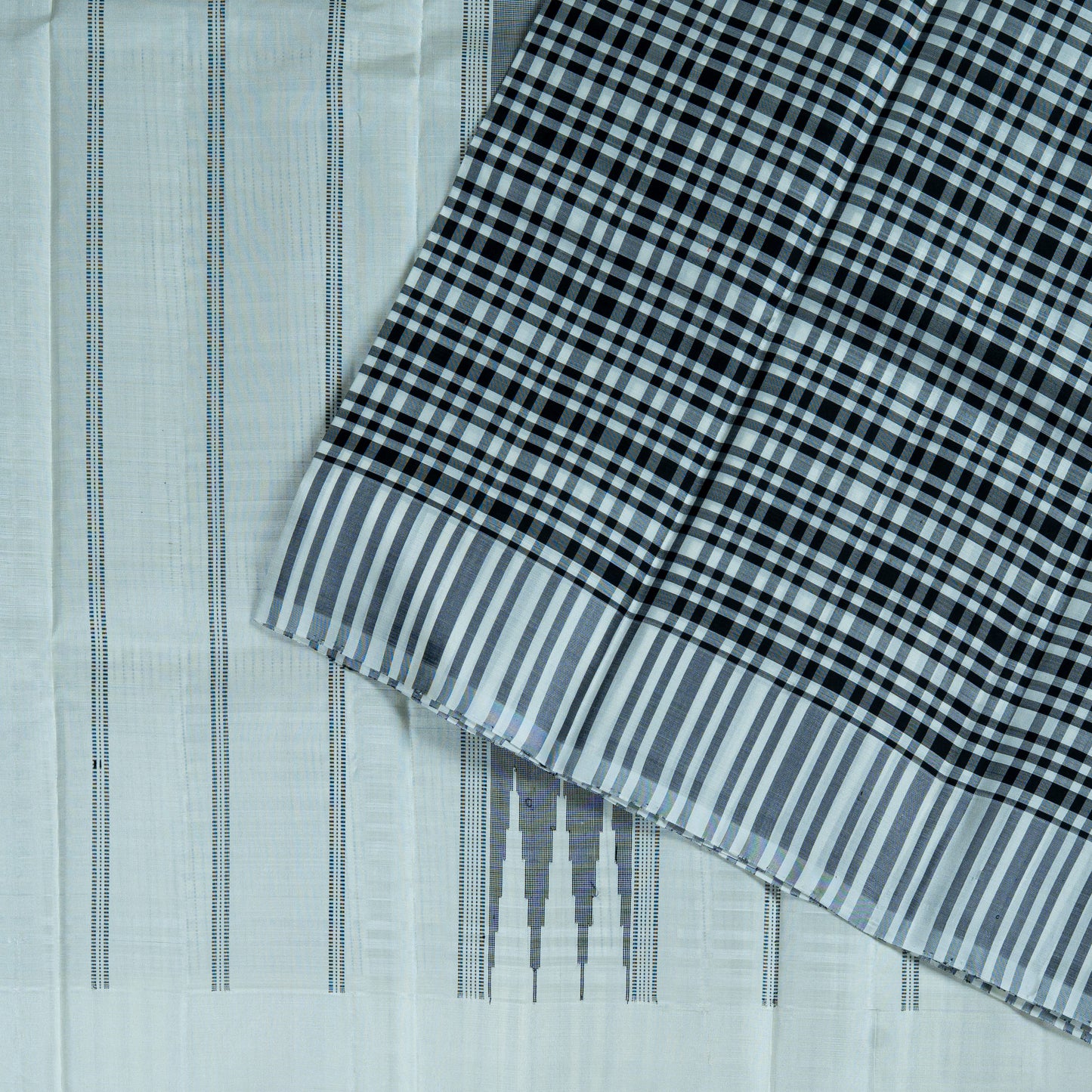 Monochrome Handloom Saree: Black Check Pallu & White Striped Body