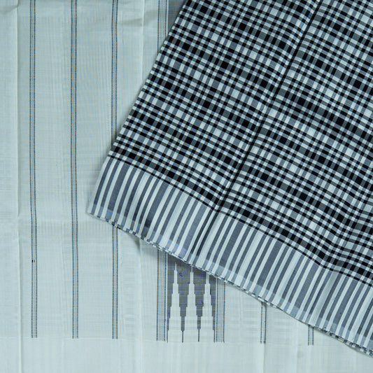 Monochrome Handloom Saree: Black Check Pallu & White Striped Body