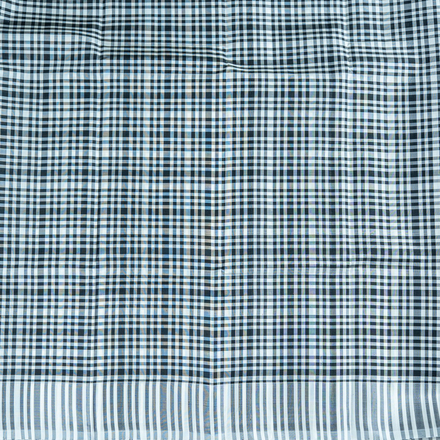 Monochrome Handloom Saree: Black Check Pallu & White Striped Body