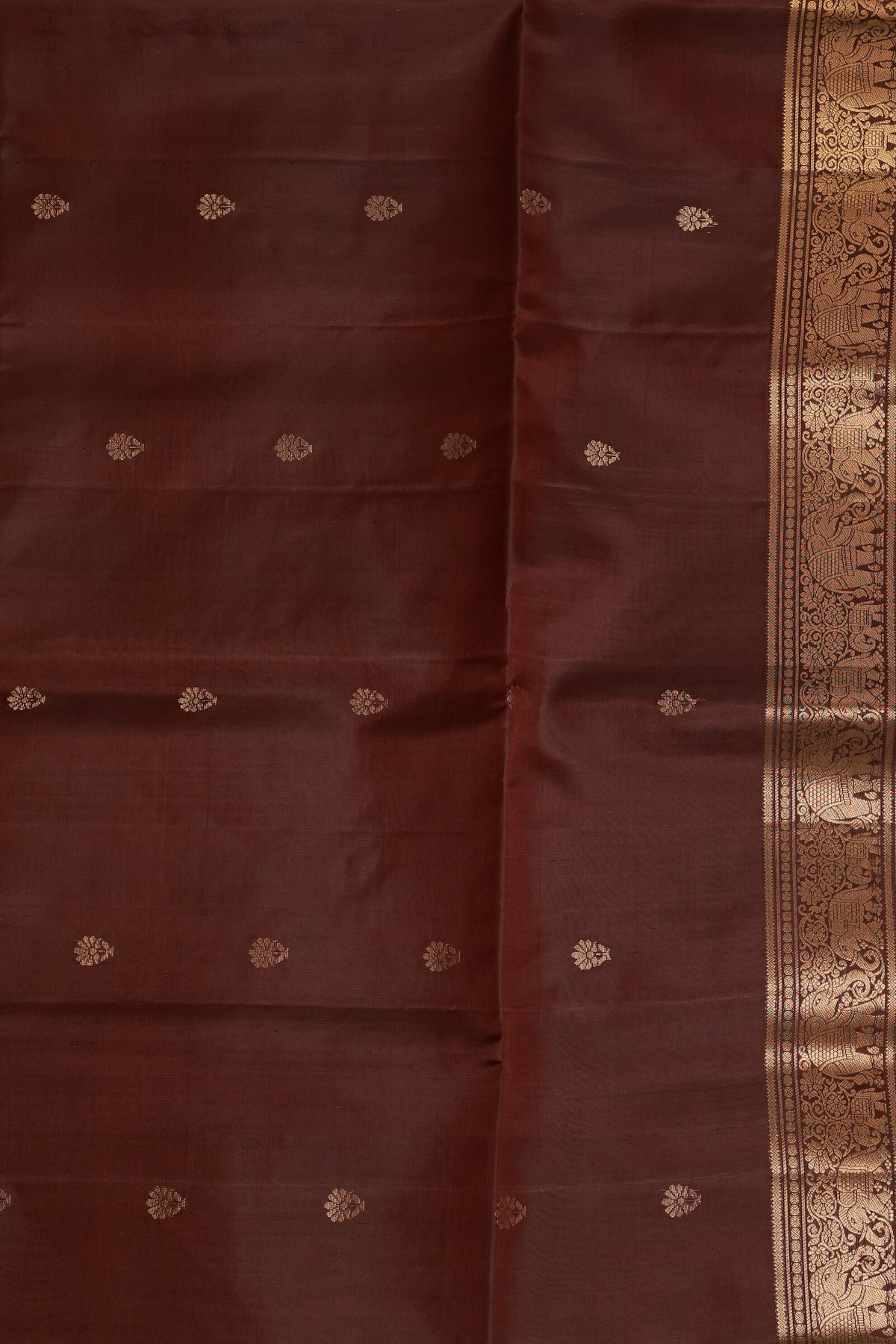 Coffee Brown Pure Silk Saree With Medium Zari Border, design view 5