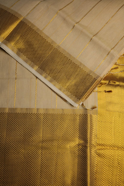 Paya Design Tissue Set Saree