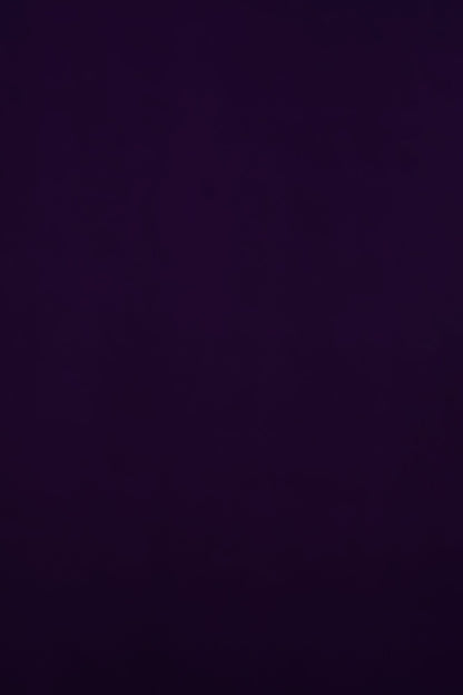 Purple Mysore Silk Saree